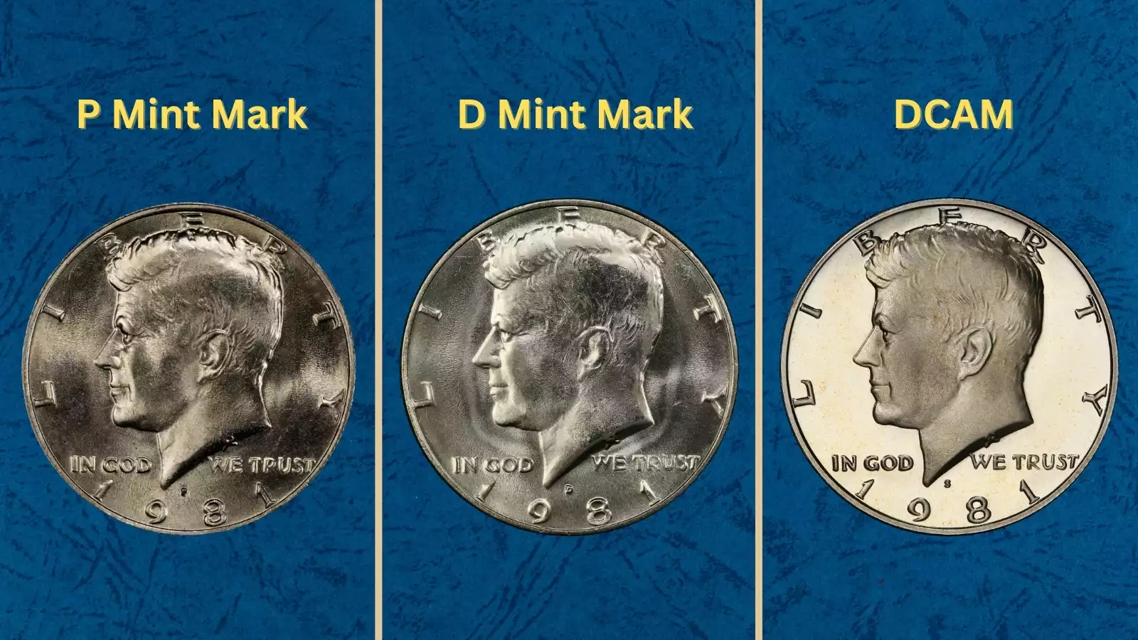 Group of 1981 Kennedy half dollars showing Philadelphia, Denver, and San Francisco mint marks side by side